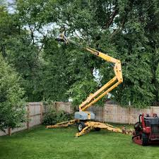 Best Tree Trimming and Pruning  in Alturas, CA